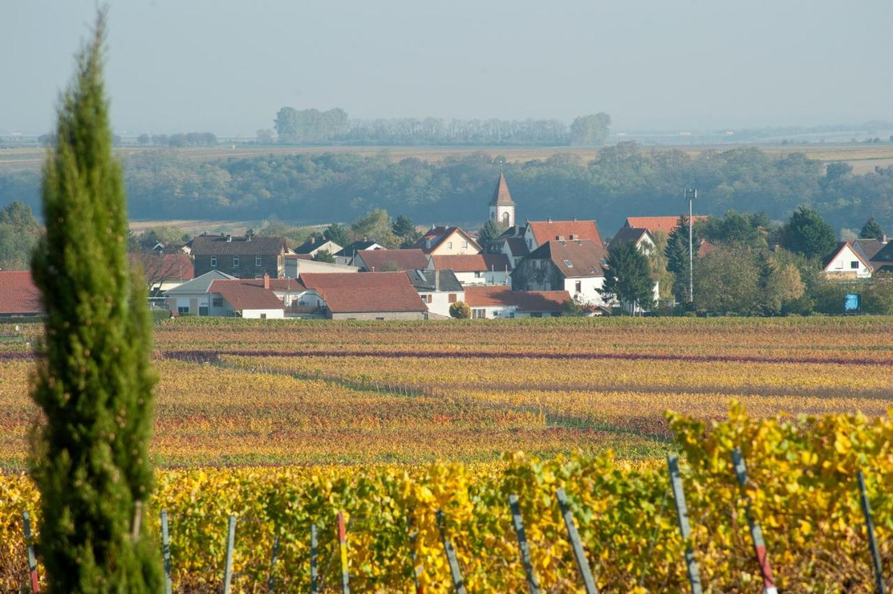 Gaestehaus & Weingut Peth Florsheim-Dalsheim Luaran gambar